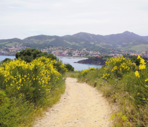 Domaine Les Pierres de la Massane